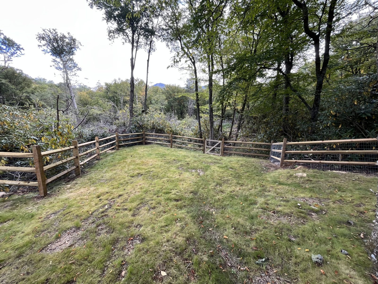 Gates & Operators