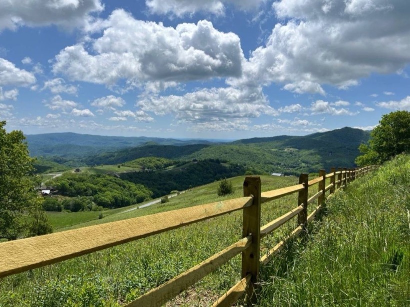 Fences